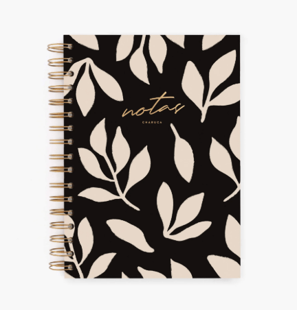 Captura de pantalla 2025-09-05 102629-min