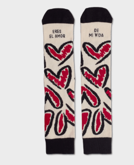 Captura de pantalla 2026-01-30 173132